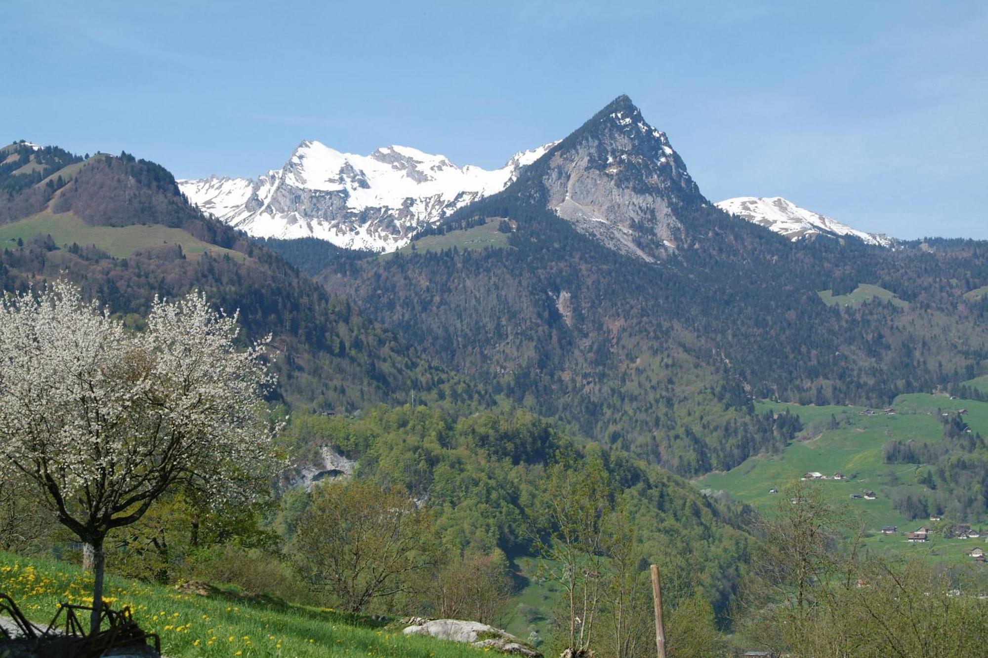 Landgasthof Grossteil Giswil Buitenkant foto