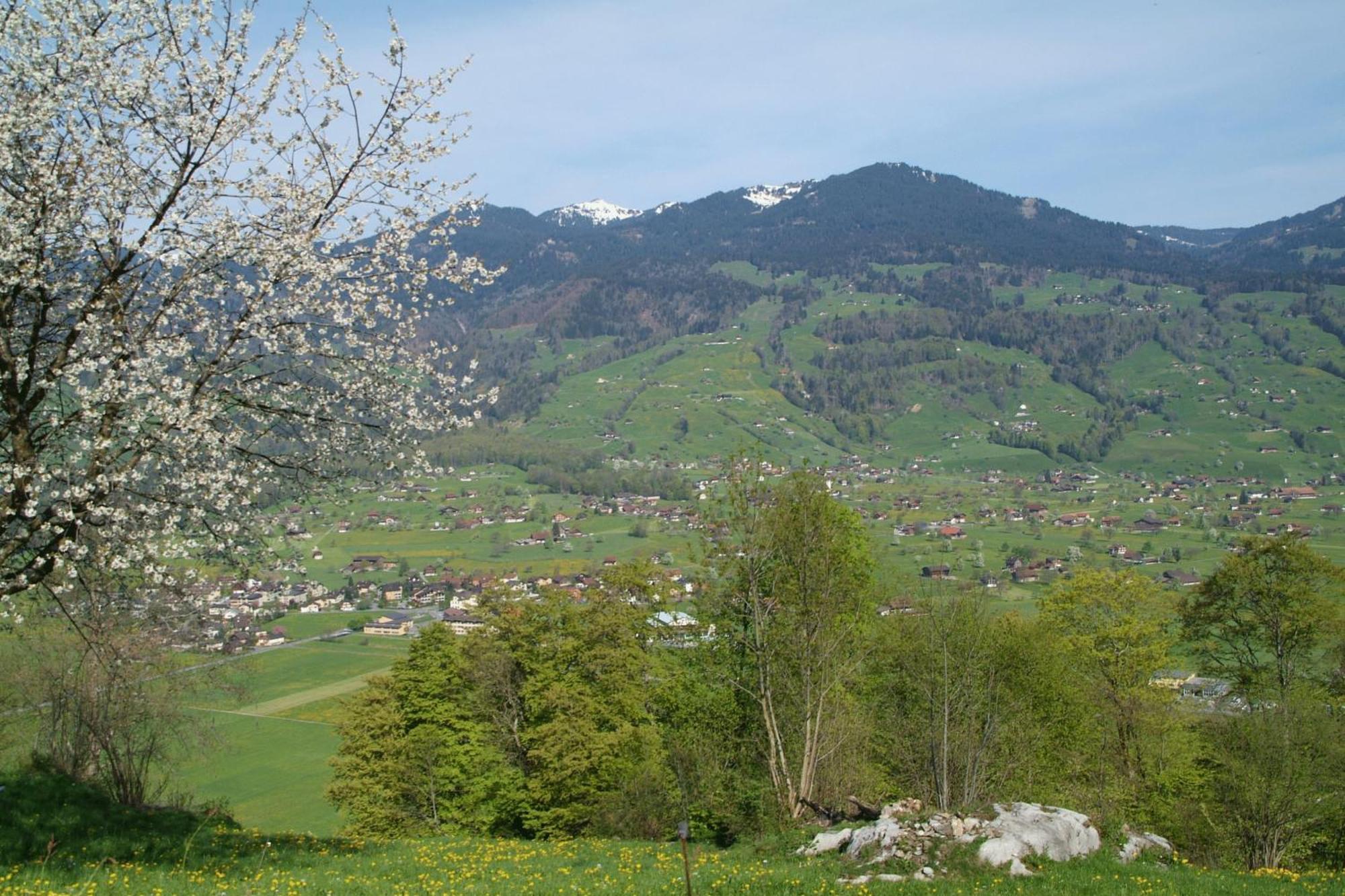 Landgasthof Grossteil Giswil Buitenkant foto