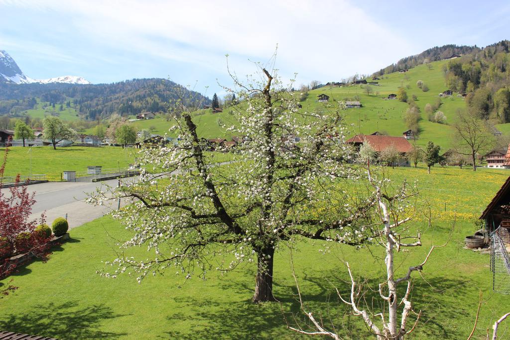 Landgasthof Grossteil Giswil Buitenkant foto