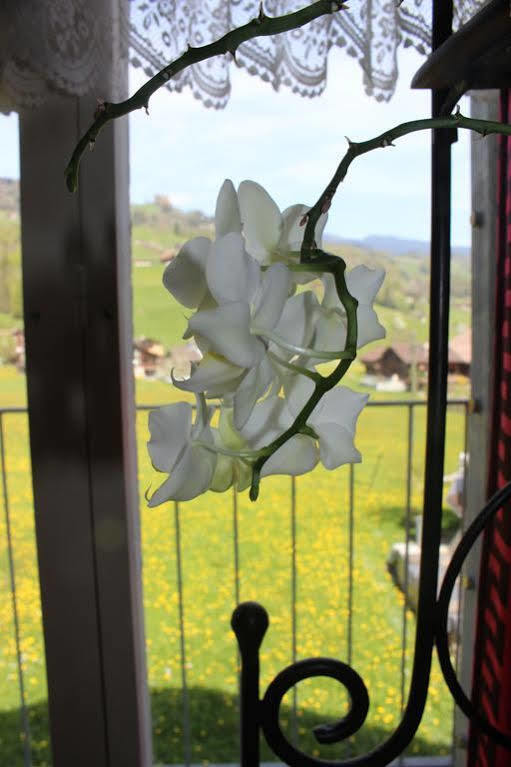 Landgasthof Grossteil Giswil Buitenkant foto